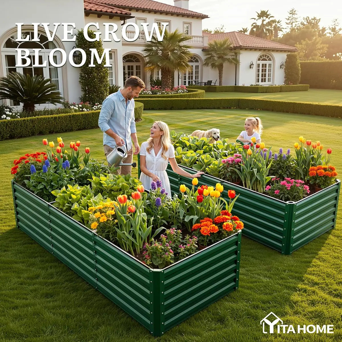 Raised Garden Bed Kit with Gloves & Tension Bar for Vegetables Flowers Plants